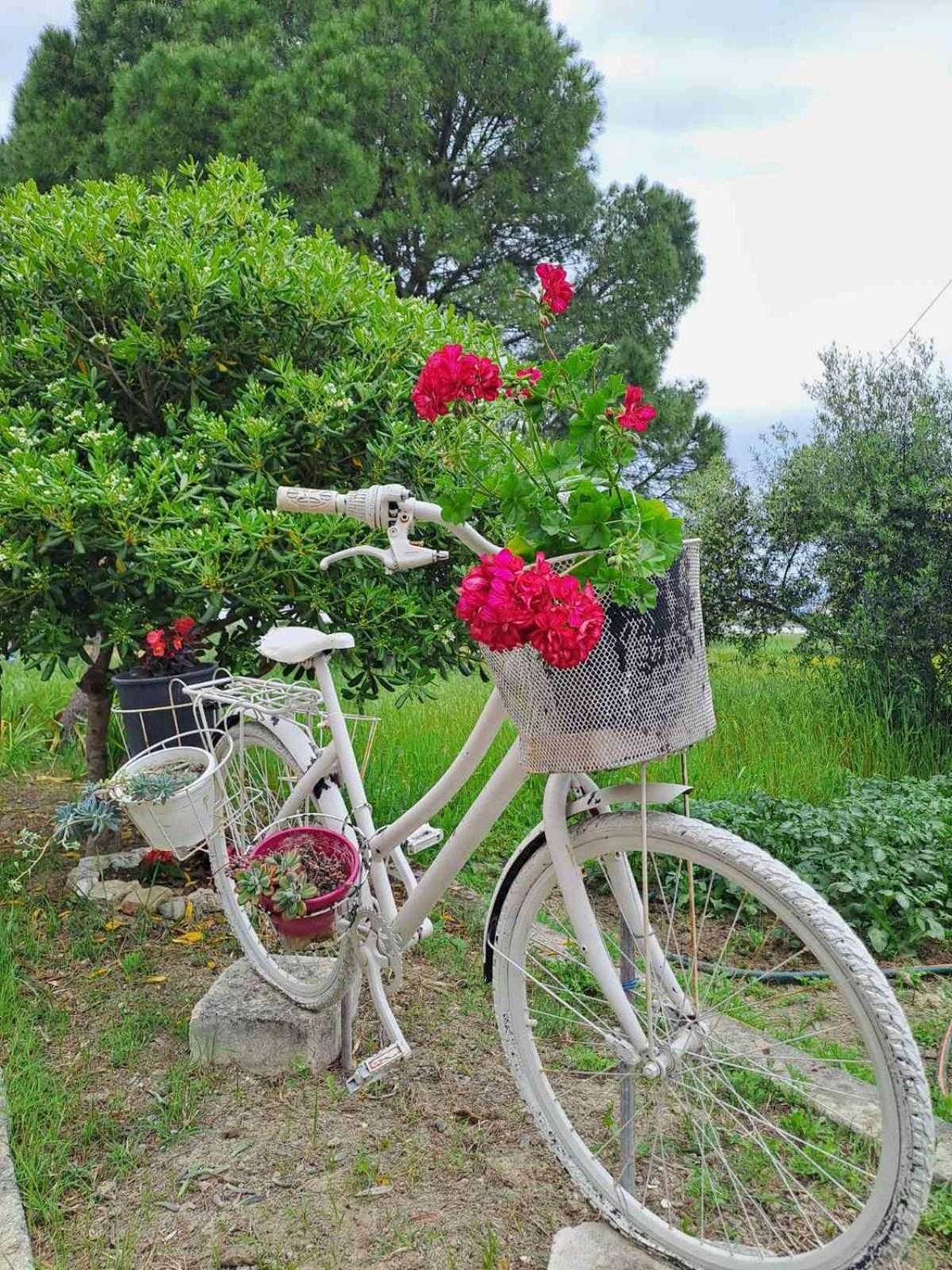 Corfu Lakeside Cottage Kanóni Kültér fotó